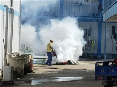 斗門區(qū)學校滅臭蟲技術口碑推薦