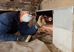 滅白蟻公司 滅白蟻公司