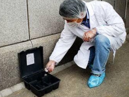 專業(yè)滅鼠公司 專業(yè)滅鼠公司