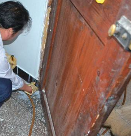 珠海白蟻防治 珠海白蟻防治