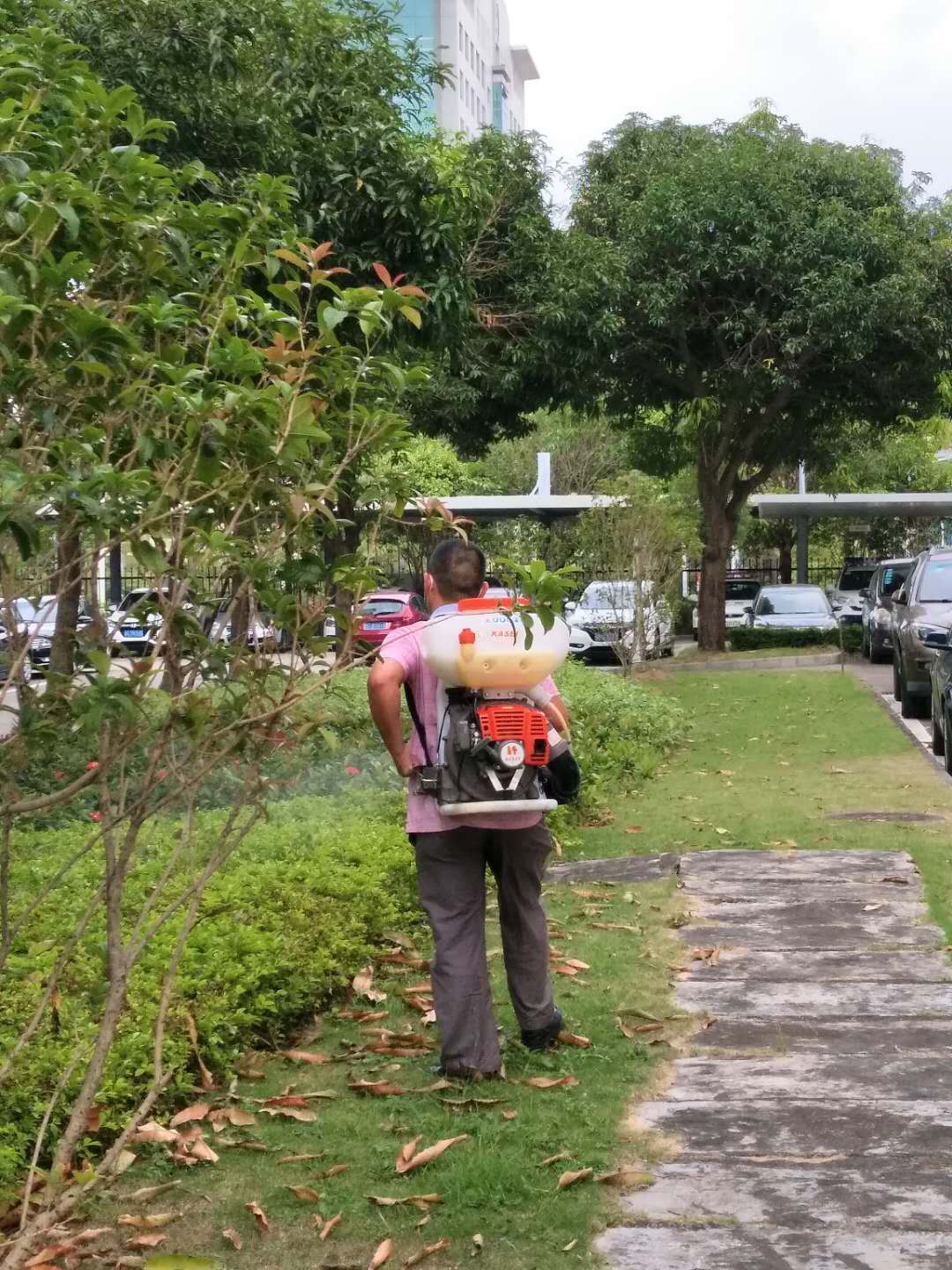 1586778353111732.jpg 1586778353111732.jpg