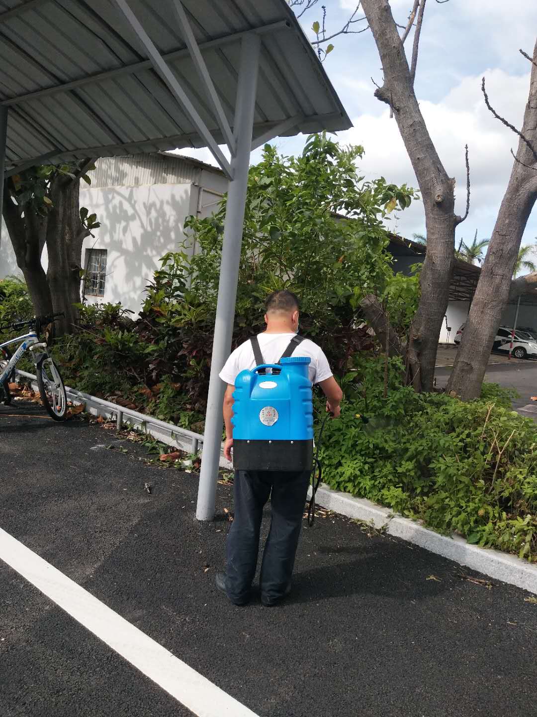 1594298159356131.jpg 1594298159356131.jpg