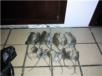 1615260659956768.jpg 1615260659956768.jpg