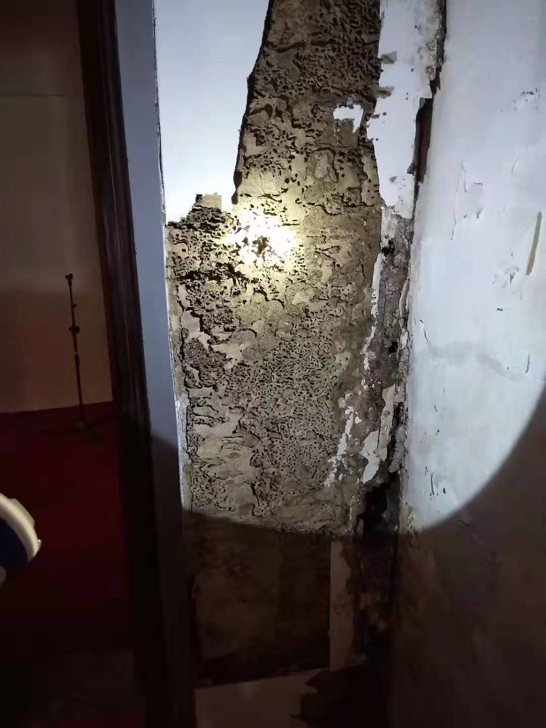 1621387836342145.jpg 1621387836342145.jpg