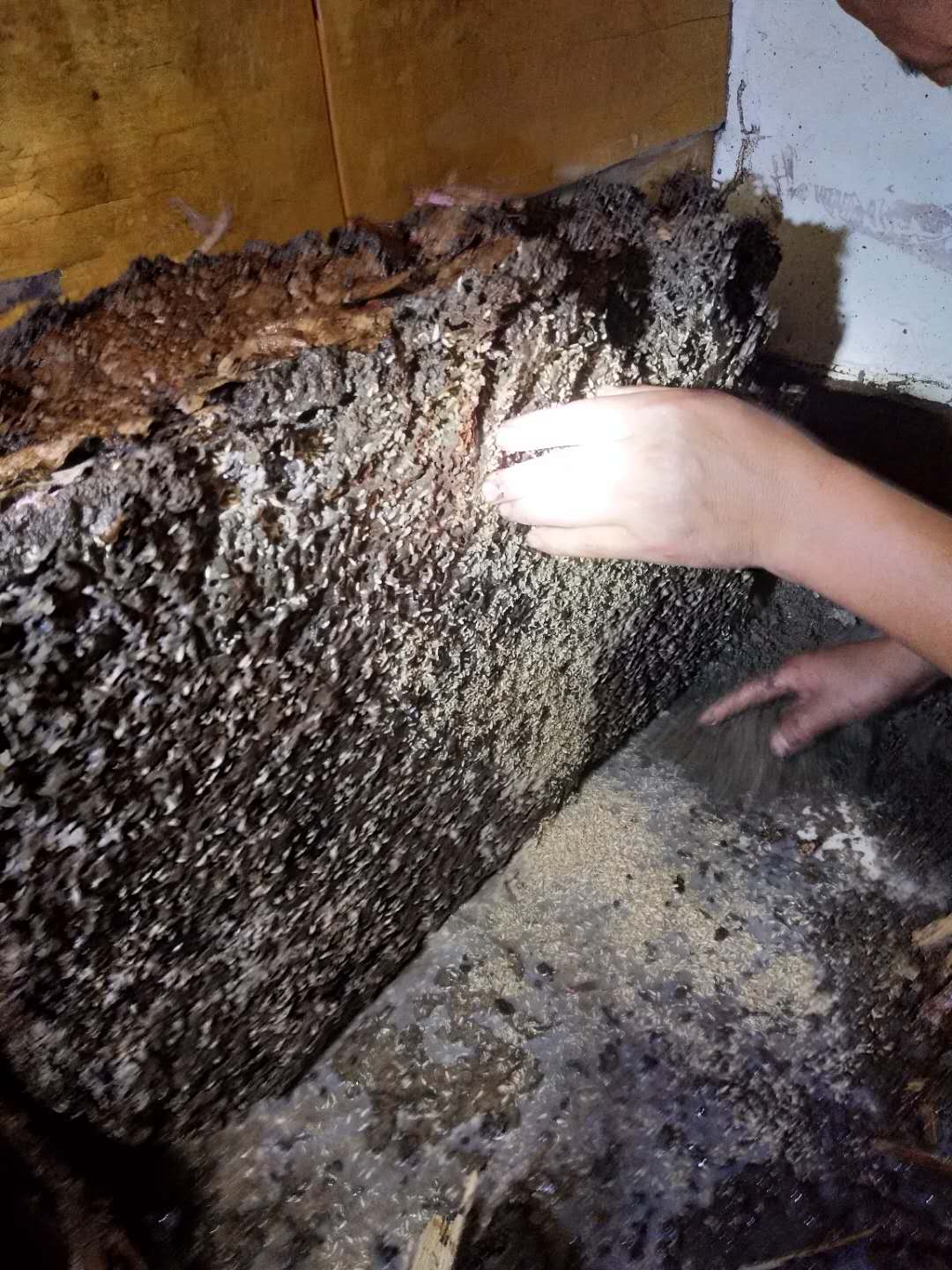 1648367808677062.jpg 1648367808677062.jpg